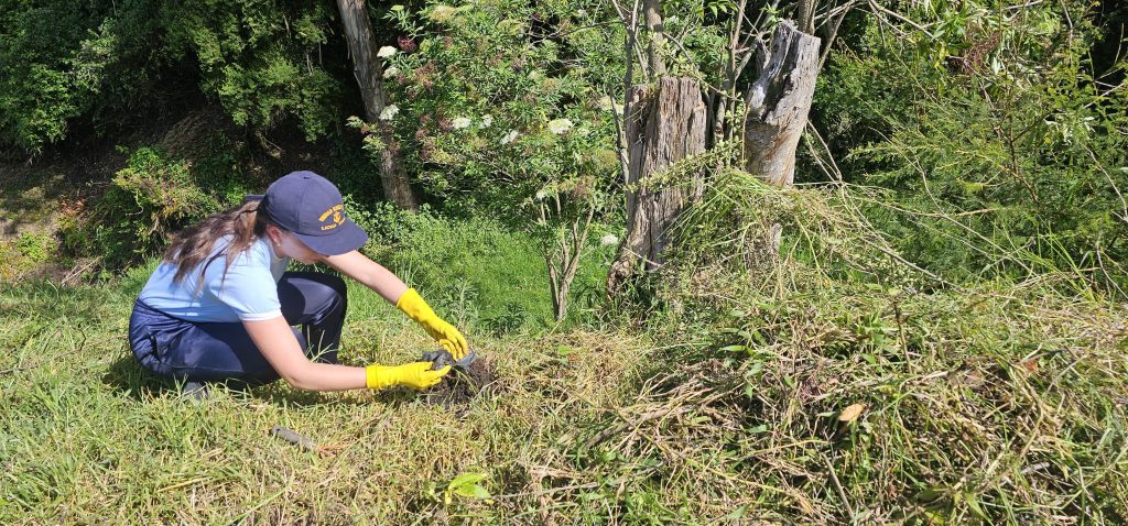 🌿 PARTICIPACIÓN ESTUDIANTIL – LICEO NAVAL DE QUITO – REFORESTACIÓN ETAPA II -SIERRA 🌿